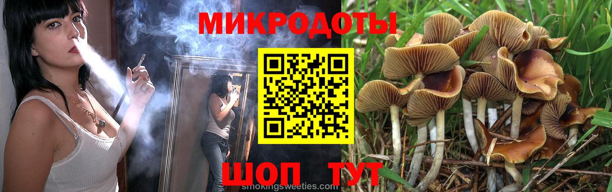 Галлюциногенные грибы мухоморы Петропавловск-Камчатский