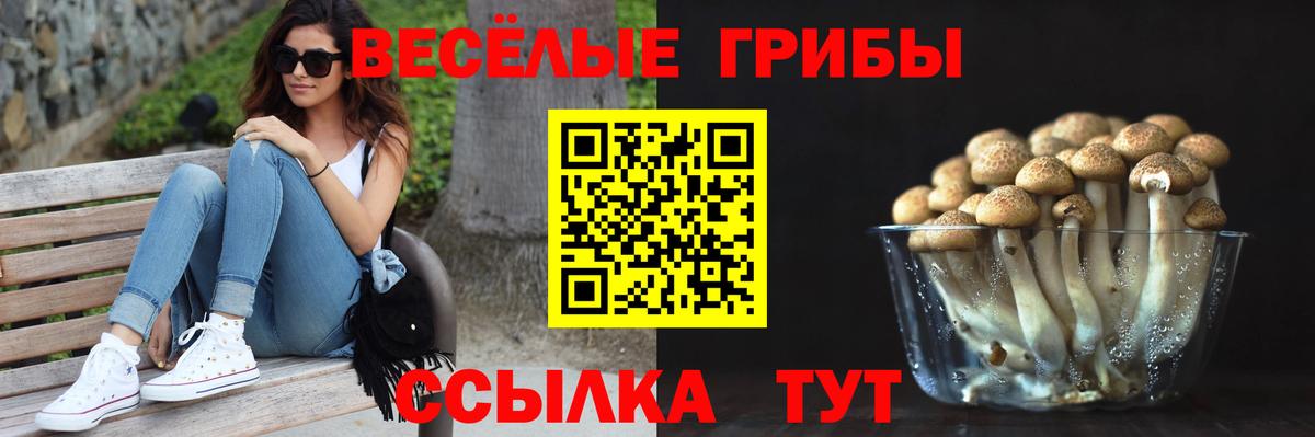 Петропавловск-Камчатский  Галлюциногенные грибы Magic Shrooms  Вход с VPN  Псилоцибиновые грибы прущие грибы 